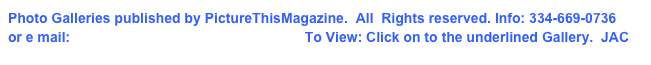 Photo Galleries published by PictureThisMagazine.  All  Rights reserved. Info: 334-669-0736
or e mail: picturethismagazine@yahoo.com  To View: Click on to the underlined Gallery.  JAC 